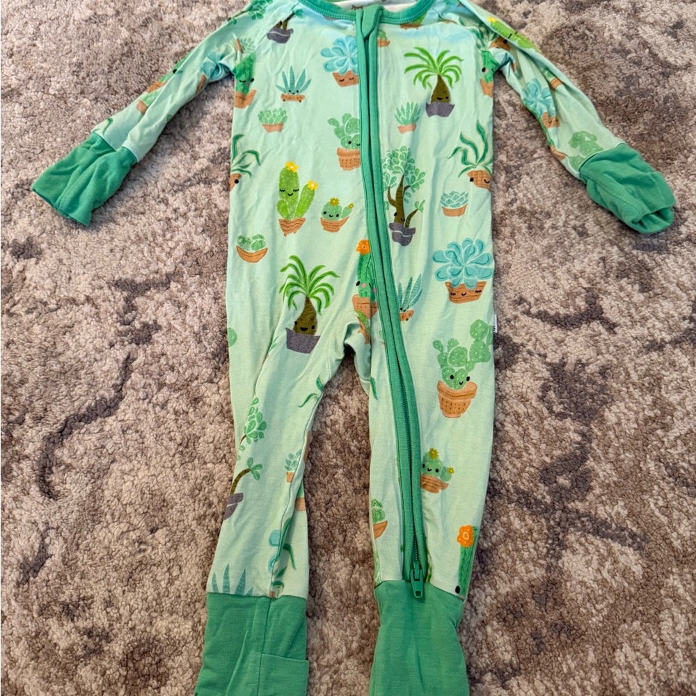 Little Sleepies Succulent Love Zippy 0-3